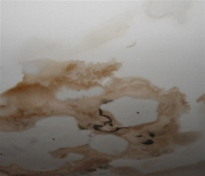 Heavy water damage evidence on ceiling