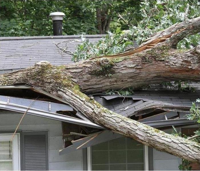 Need storm damage restoration? Call SERVPRO of East Memphis.